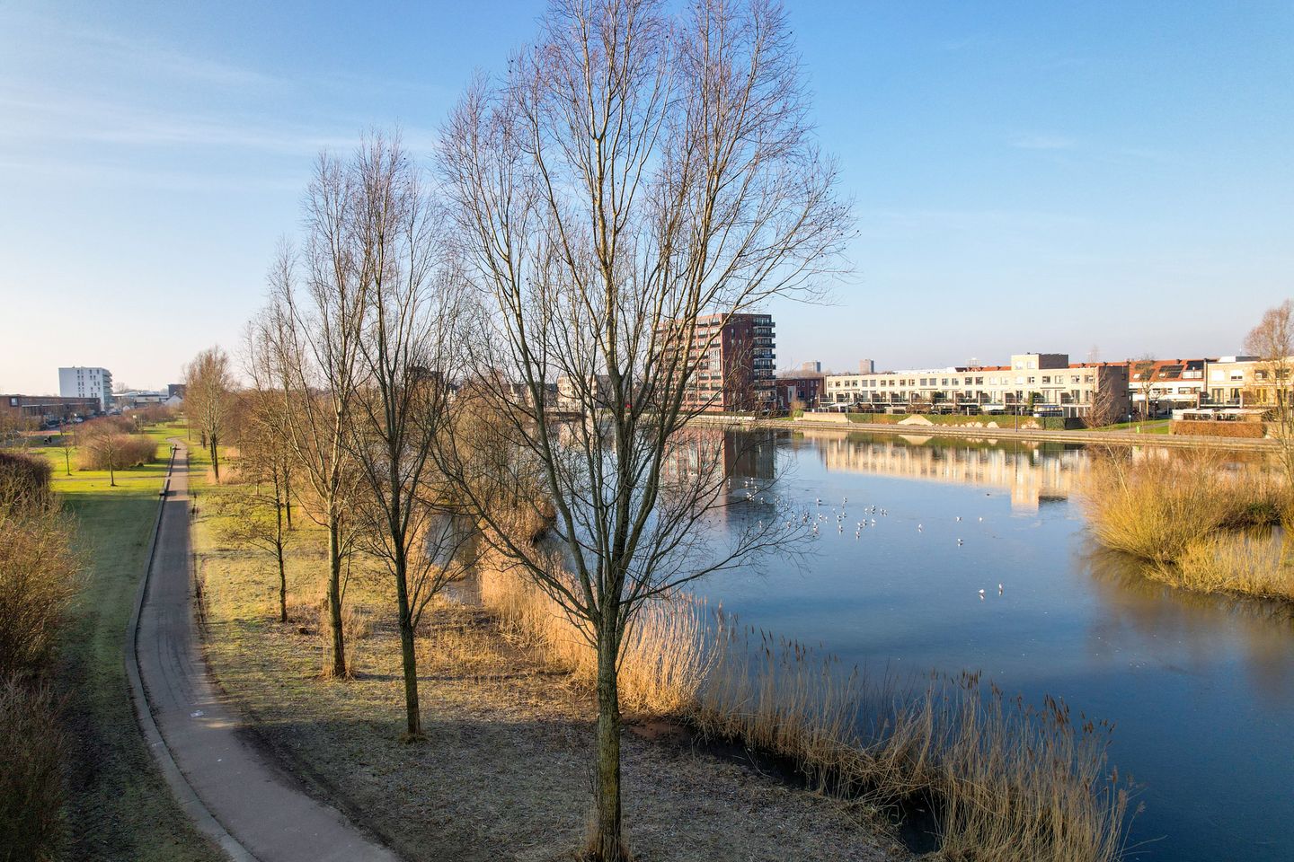 Foto 50 van Florence Nightingalelaan 60