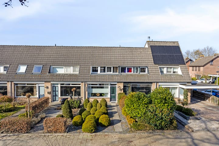 undefined main image