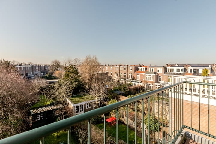 Foto 47 van Prinsessestraat 1