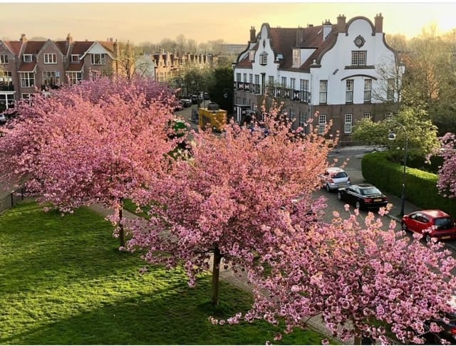 Foto 54 van Prinsessestraat 1