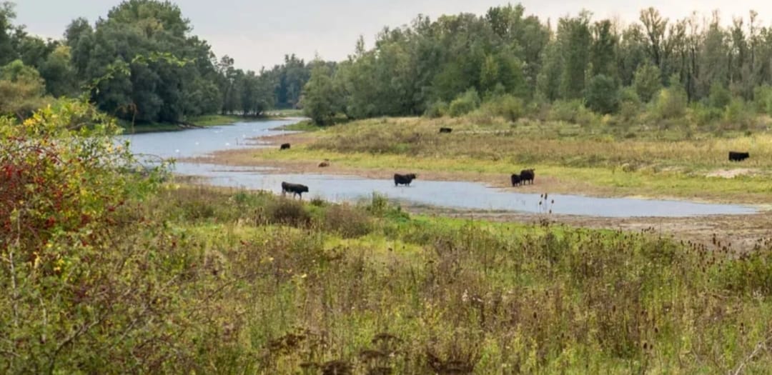 Photo 37 of Prins Bernhardstraat 25