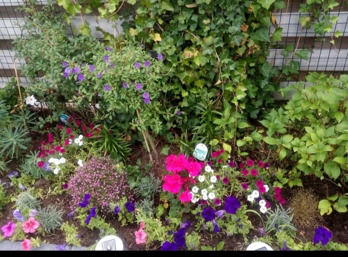 Foto 25 van Visserstraat 39