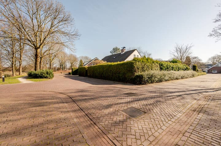 Photo 7 of Punter 26 2