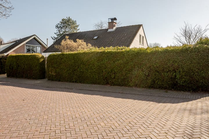 Photo 8 of Punter 26 2