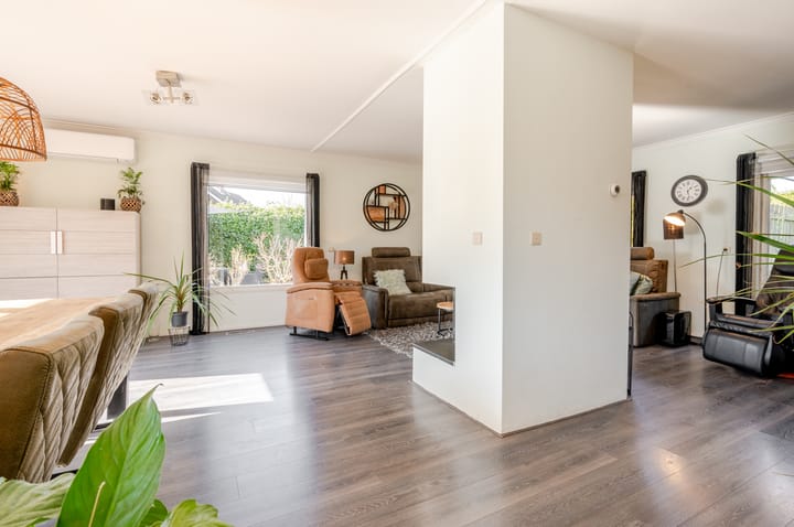 Photo 13 of Punter 26 2