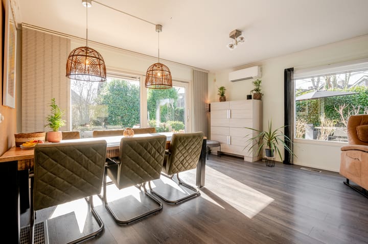 Photo 20 of Punter 26 2