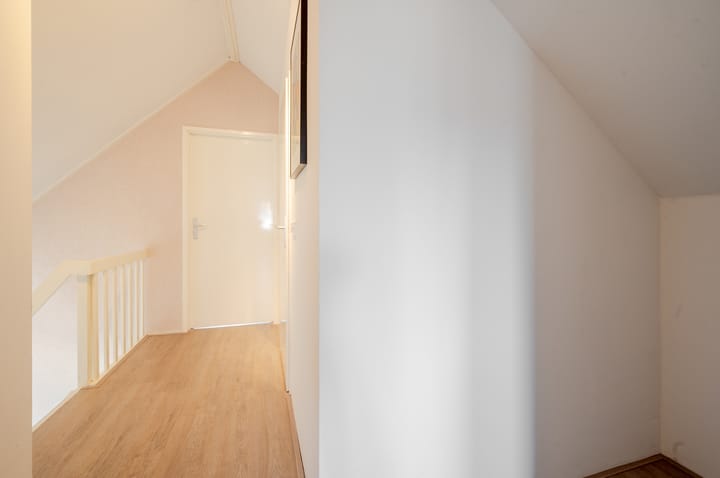 Photo 42 of Punter 26 2