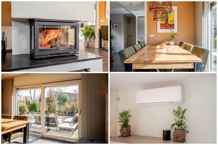 Photo 24 of Punter 26 2