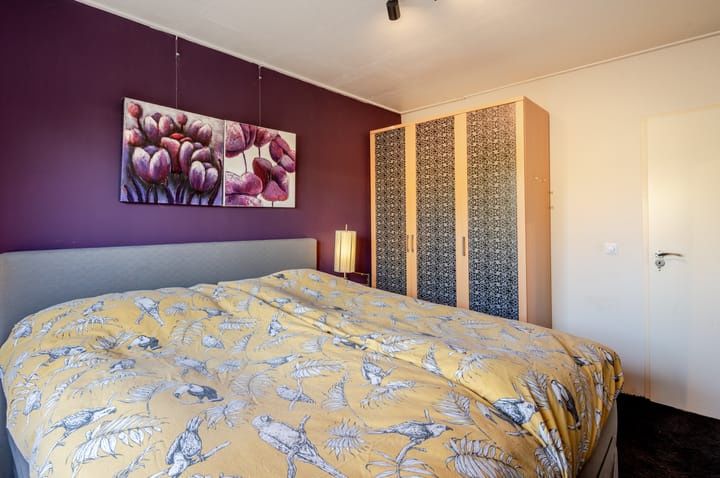 Photo 35 of Punter 26 2