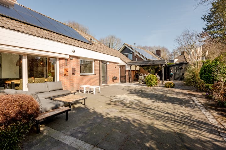 Photo 51 of Punter 26 2