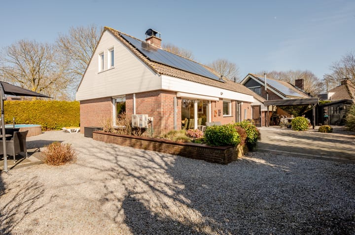 Photo 55 of Punter 26 2