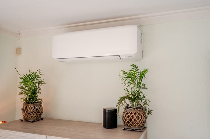 Photo 21 of Punter 26 2