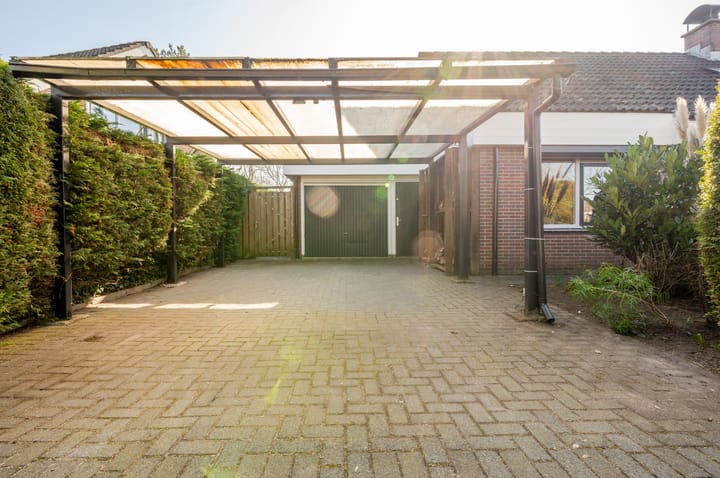 Photo 60 of Punter 26 2