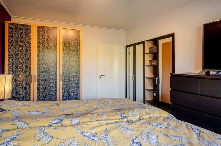 Photo 36 of Punter 26 2