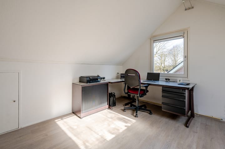 Photo 47 of Punter 26 2