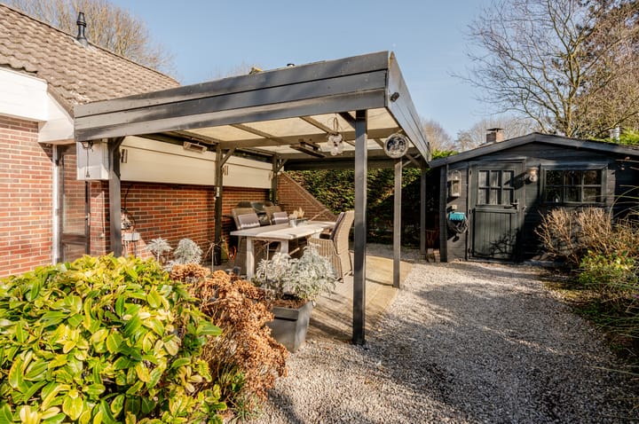 Photo 52 of Punter 26 2