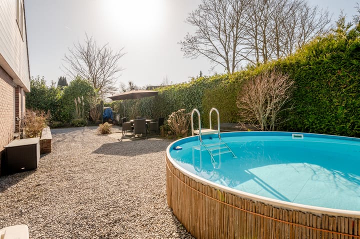 Photo 58 of Punter 26 2