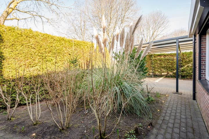 Photo 59 of Punter 26 2