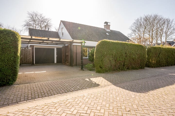 Photo 1 of Punter 26 2