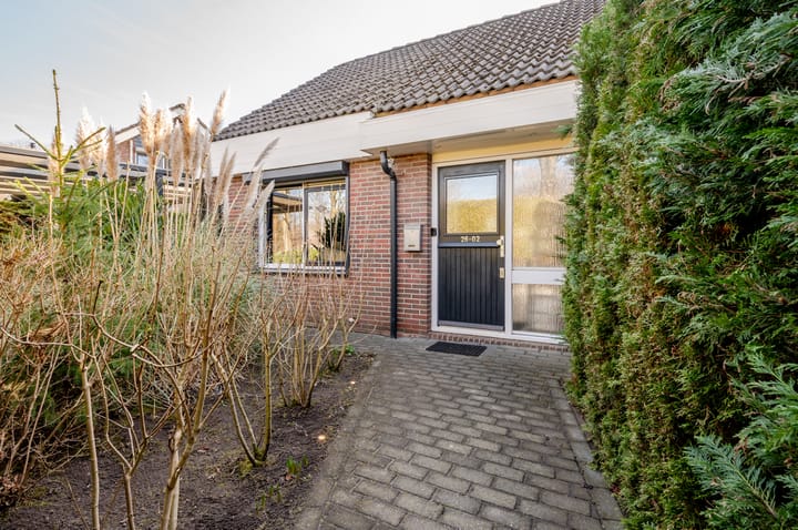 Photo 9 of Punter 26 2