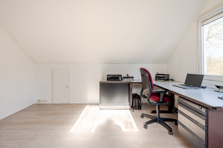 Photo 46 of Punter 26 2