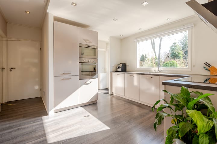 Photo 27 of Punter 26 2