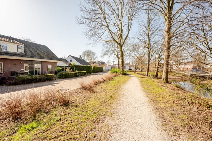 Photo 61 of Punter 26 2