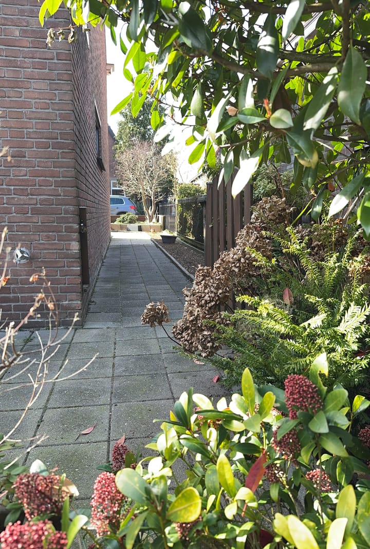 Photo 24 of Dahliastraat 18