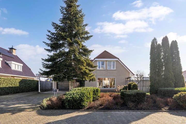 Foto 8 van Meerkoet 10