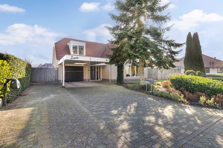 Foto 9 van Meerkoet 10