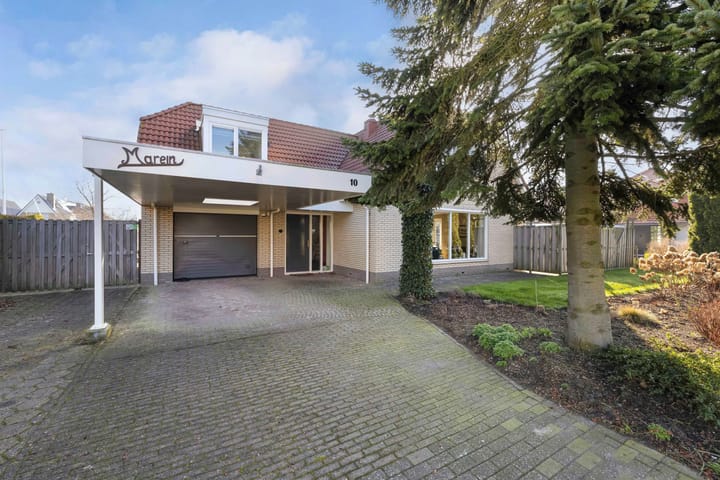 Foto 10 van Meerkoet 10