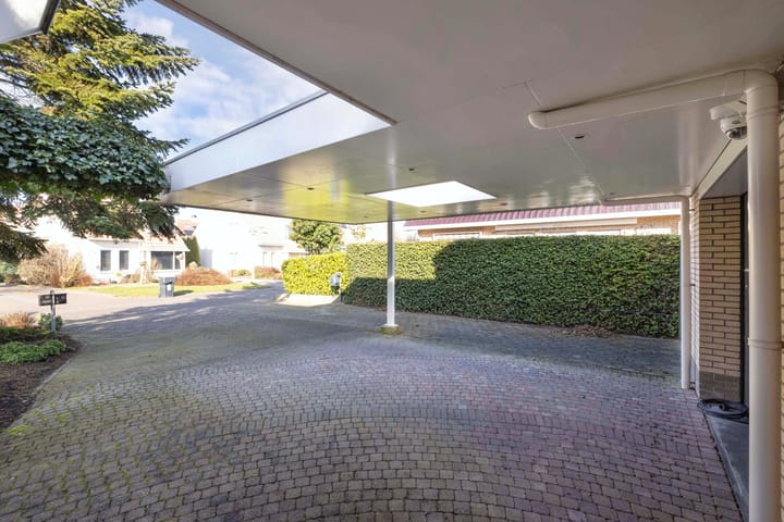 Foto 11 van Meerkoet 10