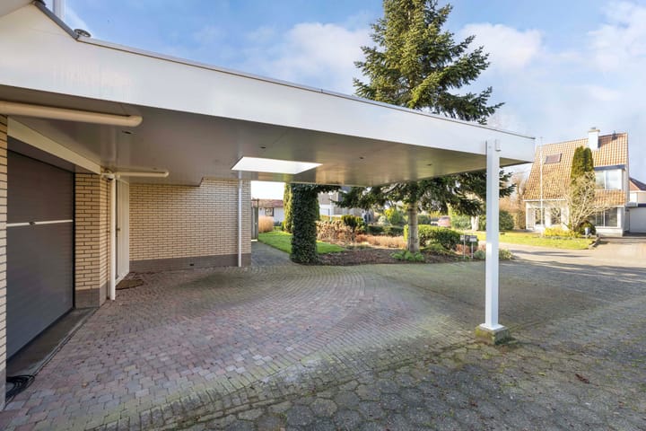 Foto 12 van Meerkoet 10