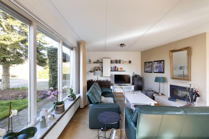 Foto 19 van Meerkoet 10