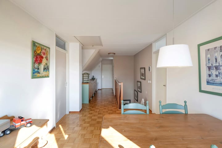 Foto 39 van Meerkoet 10