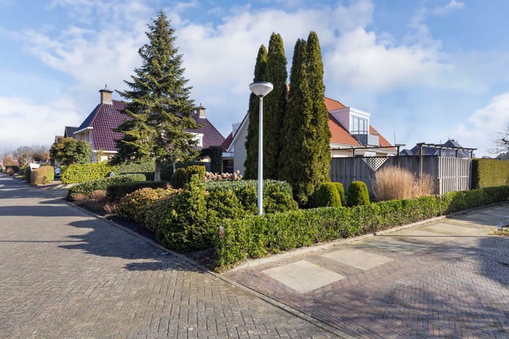 Foto 56 van Meerkoet 10