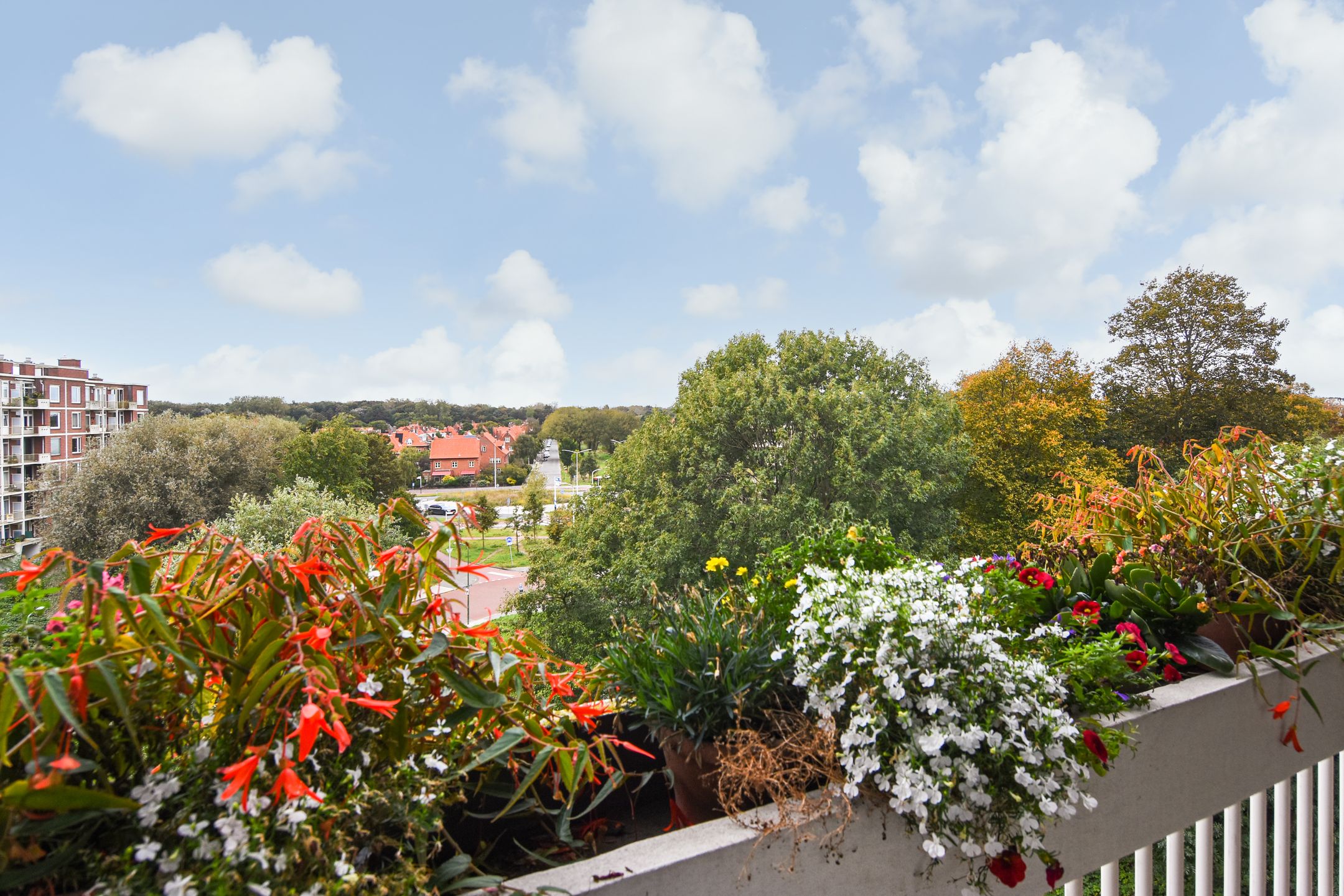 Foto 3 van Stokroosstraat 251