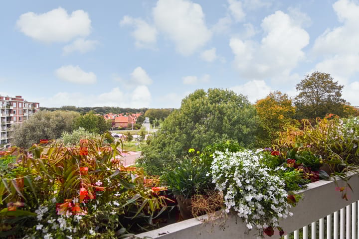 Foto 3 van Stokroosstraat 251