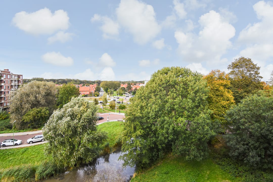 Foto 8 van Stokroosstraat 251