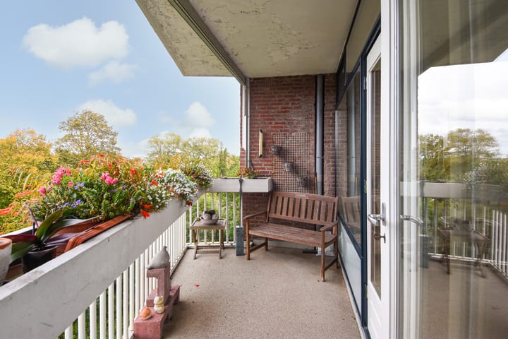 Foto 21 van Stokroosstraat 251