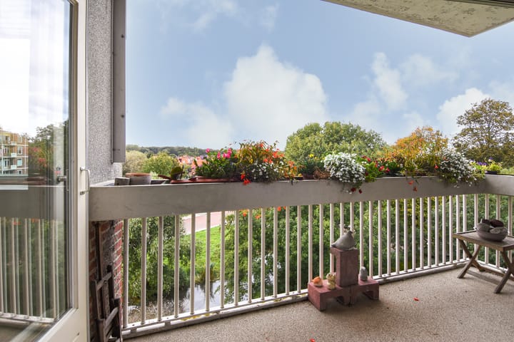 Foto 22 van Stokroosstraat 251