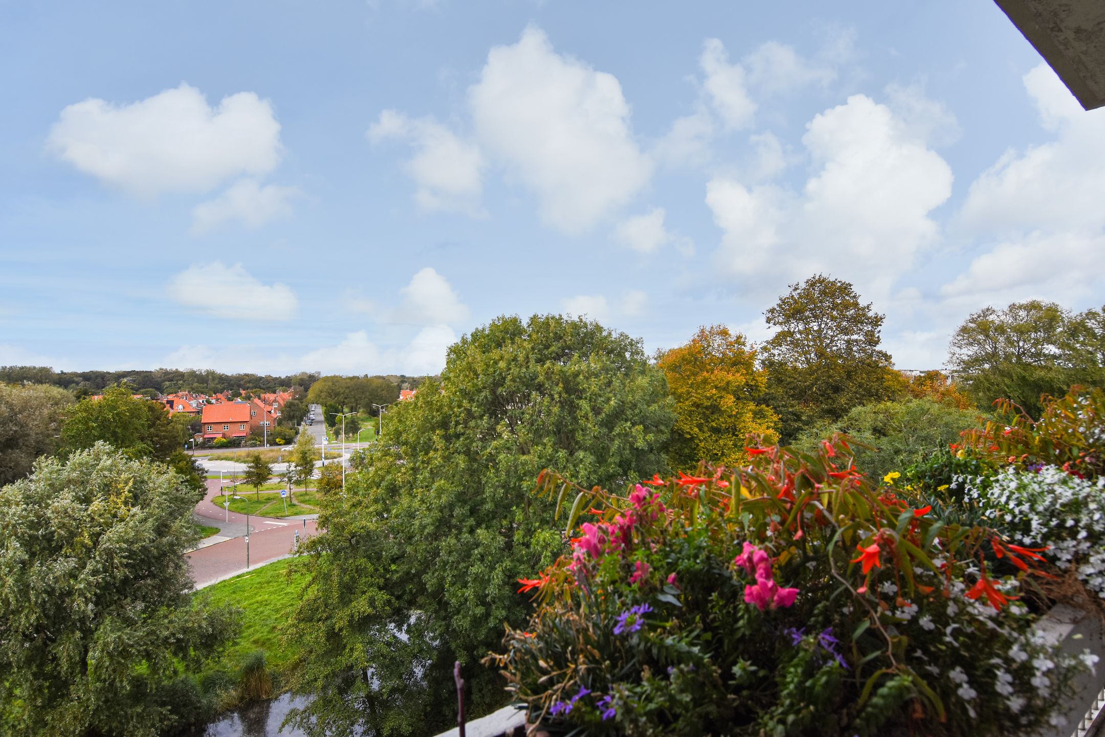 Foto 24 van Stokroosstraat 251