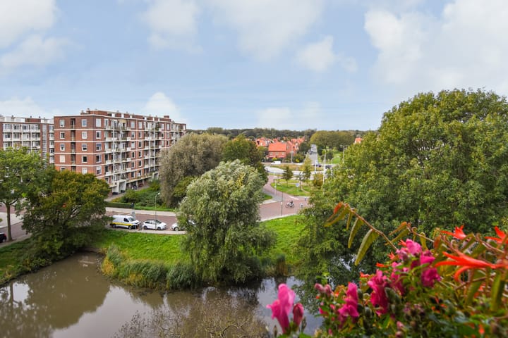 Foto 25 van Stokroosstraat 251