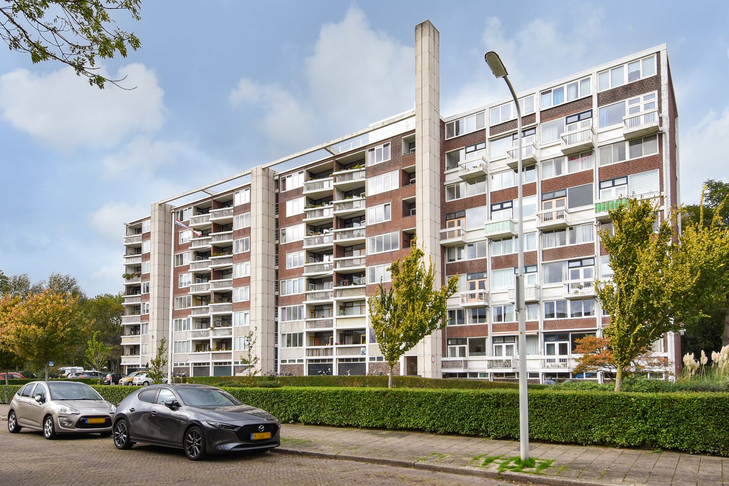 Foto 40 van Stokroosstraat 251