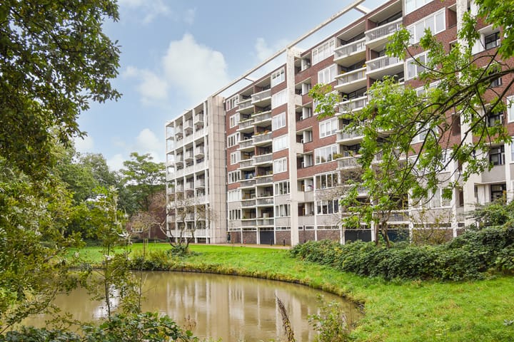 Foto 42 van Stokroosstraat 251