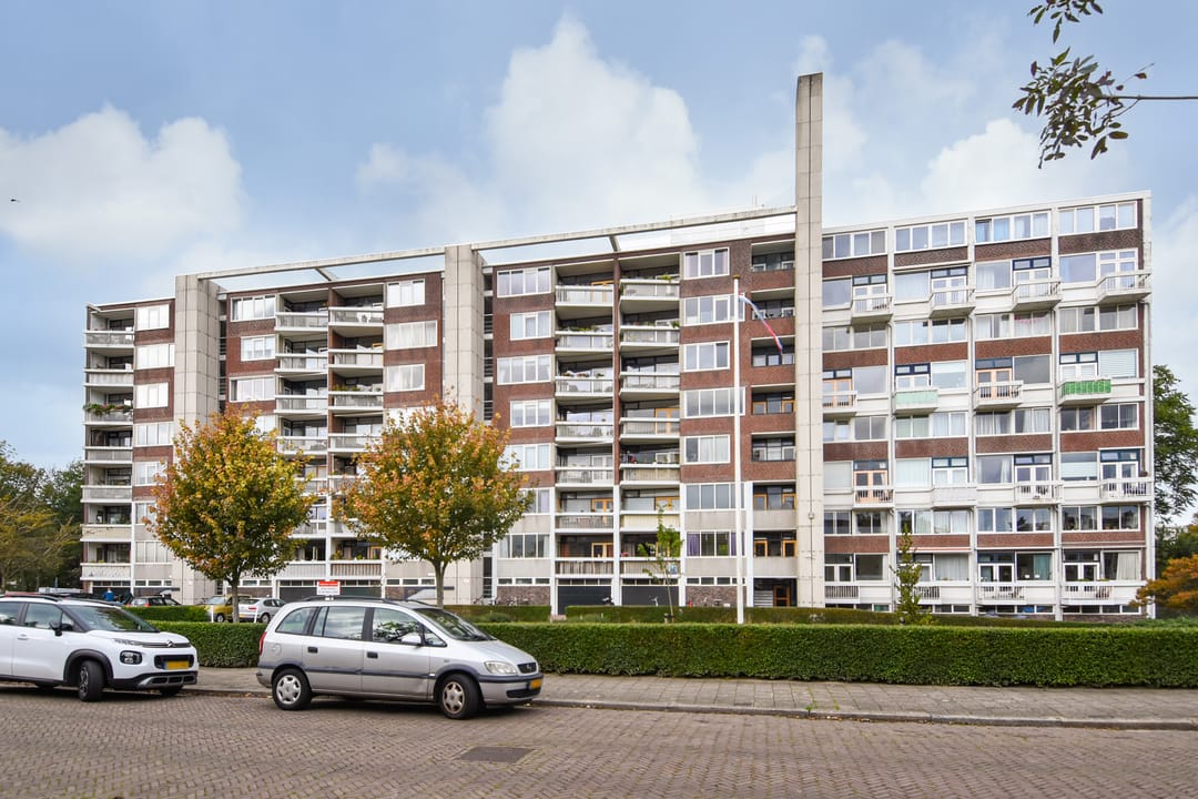 Foto 43 van Stokroosstraat 251