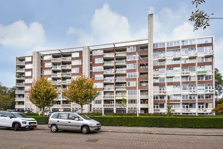 Foto 43 van Stokroosstraat 251