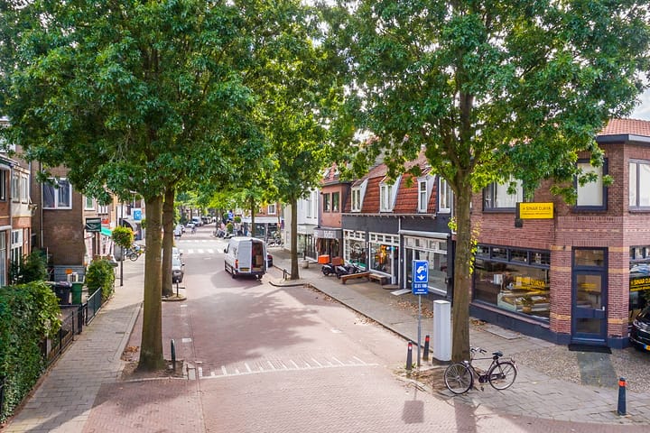 Foto 41 van Begoniastraat 16