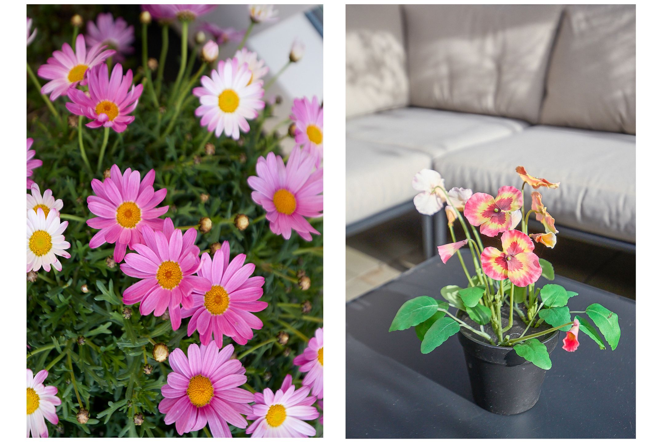 Foto 48 van Frans Netscherstraat 18