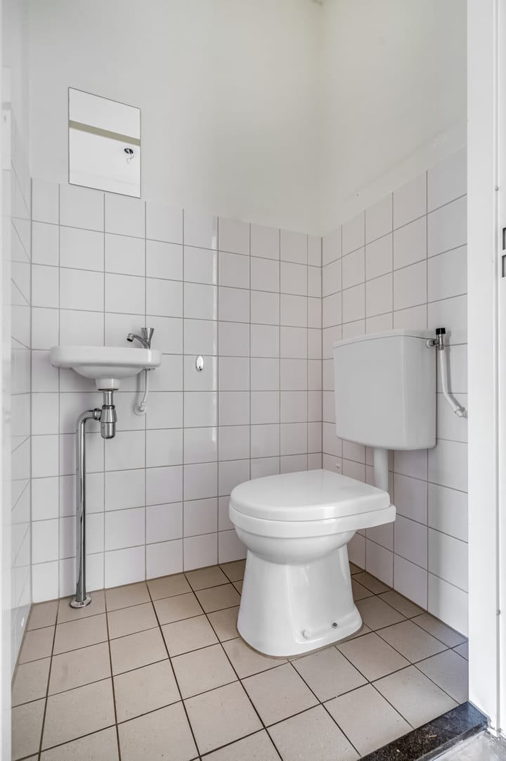 Foto 14 van Vlindertuin 1